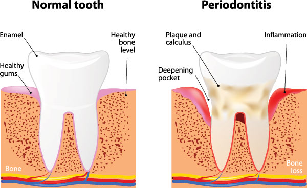 Dental Office in Denton